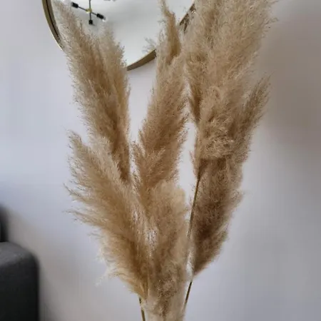 Apartamento Frida- Free Private Parking *